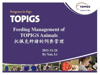 托佩克種豬的飼養(yǎng)管理-20111124--李雁