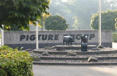 托佩克種豬誠聘技術銷售經理!|企業新聞|托佩克種豬(中國)