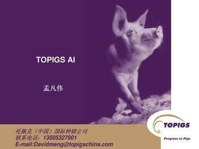 人工授精技術(shù)(TOPIGS AI)