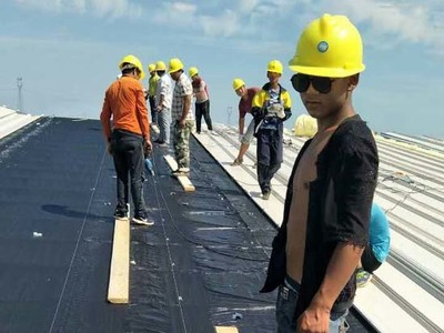 山東環山集團濱州托佩克2500頭原種豬場