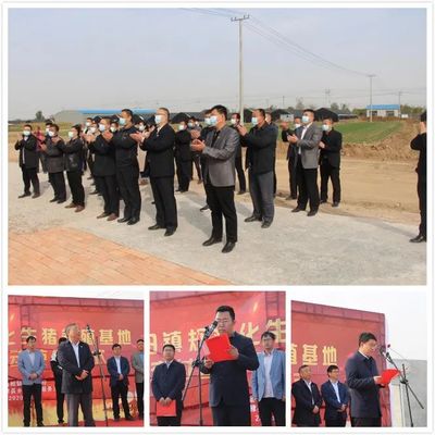 信陽(yáng)鎮(zhèn)集體增收項(xiàng)目--規(guī)?；i養(yǎng)殖基地交付使用