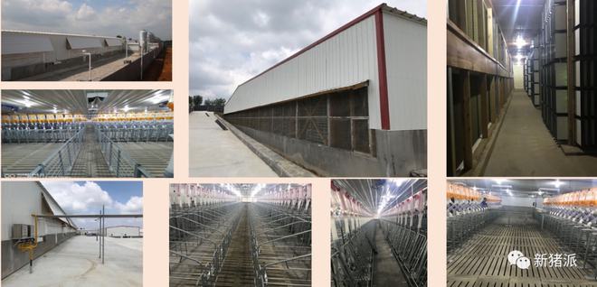 正大、漢世偉、大北農(nóng)、龍大肉食、環(huán)山等企業(yè)60多位獸醫(yī)總監(jiān)齊聚青島,群策群力增效降本!