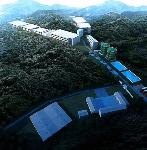 種豬 芯 動力 2020河南豐源和普引進3300頭曾祖代原種豬 助力行業(yè)高質(zhì)量復(fù)產(chǎn)