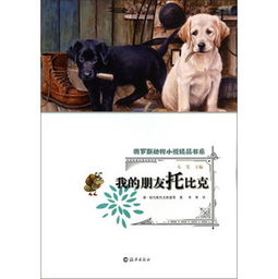 譯文經(jīng)典 金薔薇