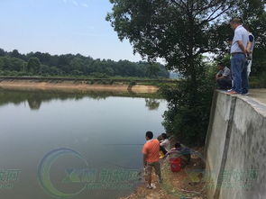 天裕托佩克 做風(fēng)味豬肉企業(yè)的種豬供應(yīng)鏈