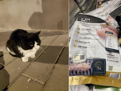 佩芽計劃 全心養(yǎng)寵,一生佩伴 是大多數(shù)人的力所能及