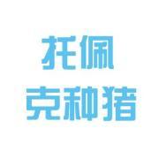 濱州托佩克種豬