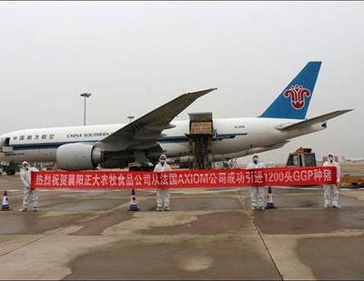 “曾祖代”豬2000美元一頭,去年進口了1萬多頭,錢花得冤不冤?