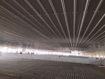 山東環山集團濱州托佩克2500頭原種豬場