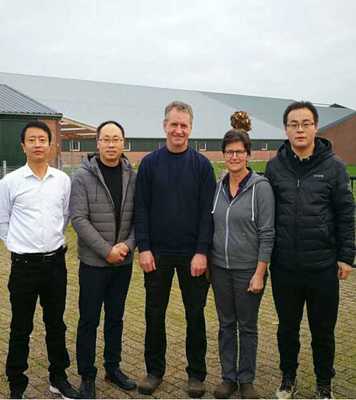 黨廣輝:歐洲現代化高效養豬技術-荷蘭豬場考察學習分享