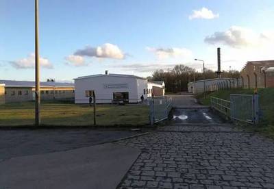 【養殖技術】超詳細德國豬場實習經歷:經營33年、PSY超28如何做到?