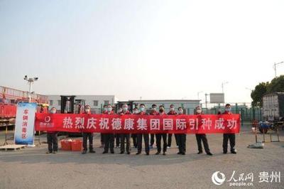 法國(guó)“種豬”入黔助力生豬產(chǎn)能提升