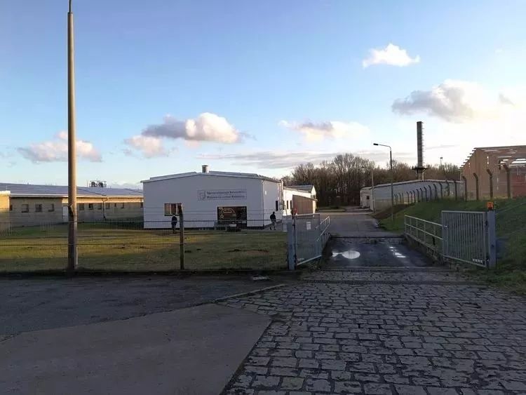 諾貝爾蘇茨農(nóng)場(chǎng)的母豬存欄2000頭左右,荷蘭托佩克種豬以約克夏做為