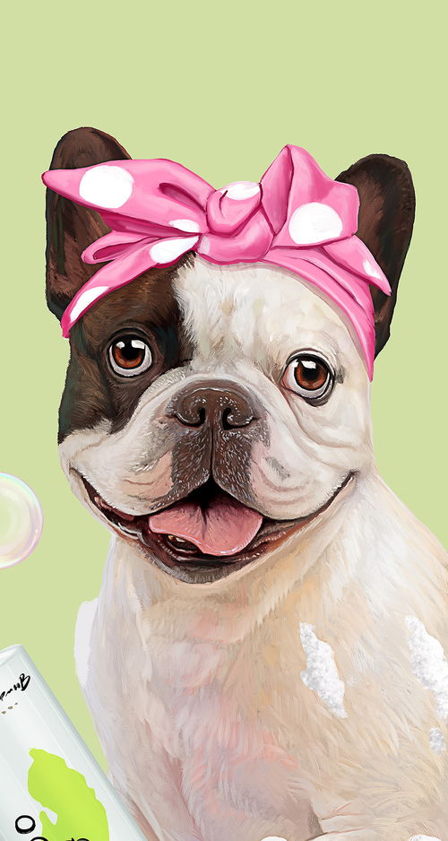 寵物洗浴用品宣傳圖