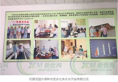 天裕托佩克:做風味豬肉企業的種豬供應鏈