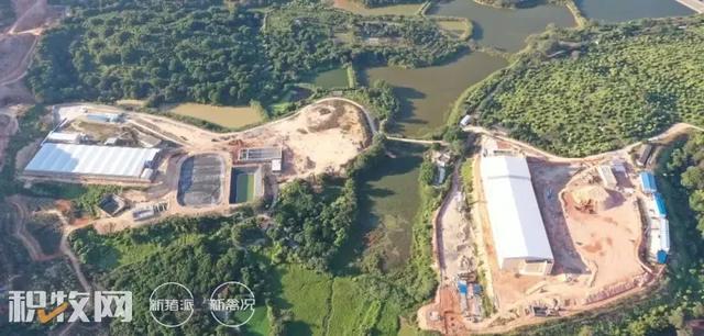 德康集團引種達南托佩克種豬