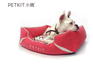 探營 這個亞洲最佳孵化器到底長啥樣