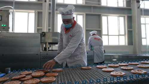 新疆柯坪在鹽堿地上 闖 出脫貧致富路