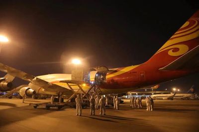 VIV青島特約丨中國種豬進(jìn)口“洶涌”,產(chǎn)業(yè)格局將迎來何種變化?