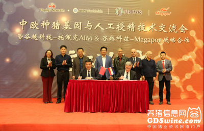 攜手歐洲人工授精領域頂尖企業(yè) 廣東最大公豬站建設再傳新進展