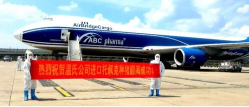 溫氏集團再次引進托佩克核心群種豬