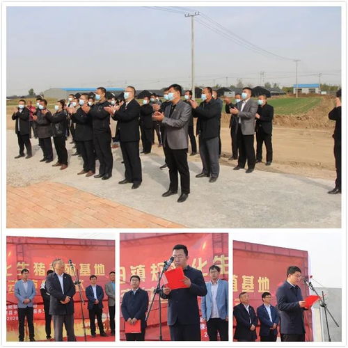 信陽鎮(zhèn)集體增收項目 規(guī)模化生豬養(yǎng)殖基地交付使用