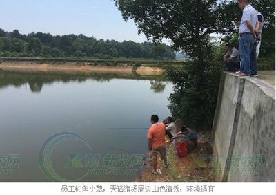 天裕托佩克:做風(fēng)味豬肉企業(yè)的種豬供應(yīng)鏈