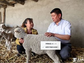 確認過眼神,木合甫力 沙比爾就是村民脫貧致富帶頭人