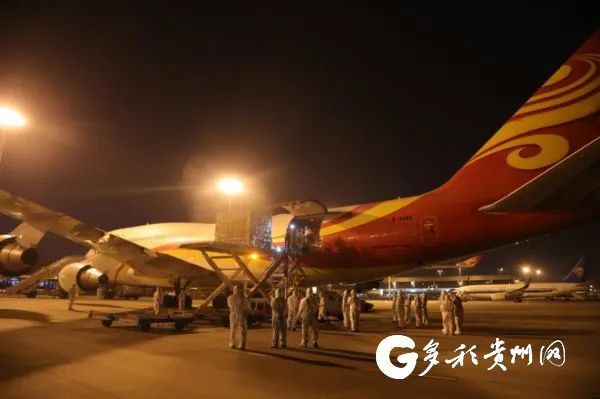 500頭法系種豬“越洋包機”抵達貴州!需隔離45天