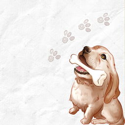 寵物用品狗狗 狗糧 狗零食主圖背景圖片免費下載 海報banner psd 千庫網 圖片編號5295331