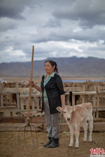 可可托海的秘密