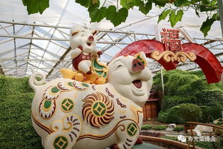 火熱報名中 壽光蔬菜博覽會 中華牡丹園一日游