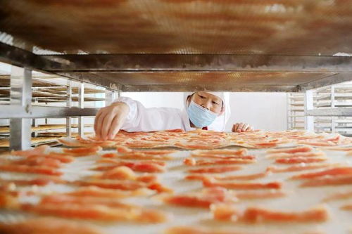 兩年上市四家 寵物食品代工廠何以 搶跑 成功