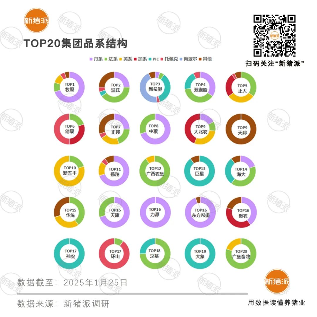2025年TOP20豬企種豬品系結構分析:丹系37%法系21%,PIC與托佩克正逐步崛起「福建新桂龍特約·種豬視野」