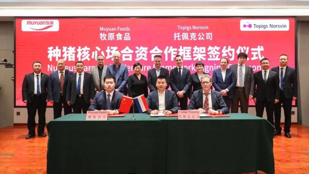 2025年TOP20豬企種豬品系結構分析:丹系37%法系21%,PIC與托佩克正逐步崛起「福建新桂龍特約·種豬視野」