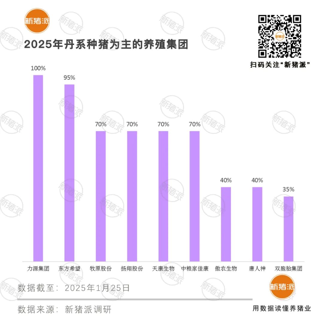 2025年TOP20豬企種豬品系結構分析:丹系37%法系21%,PIC與托佩克正逐步崛起「福建新桂龍特約·種豬視野」