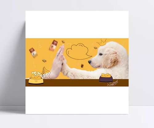 淘寶天貓寵物食品用品背景 背景,寵物食品,寵物用品,寵物用品,,天貓,淘寶,寵物食品,狗糧,貓糧,寵物糧食,寵物,其他,背景圖 心無所依