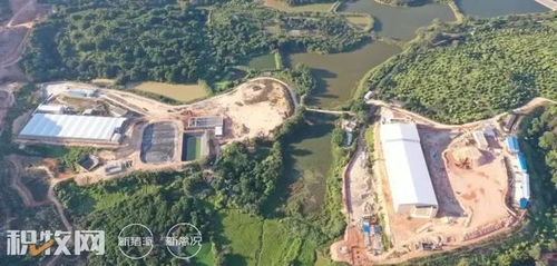 德康集團引進達南托佩克種豬，提升生豬產業核心競爭力