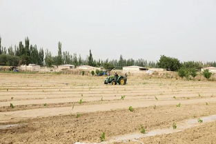 打贏脫貧攻堅戰 盡心竭力為扶貧——記二二五團巴格托格拉克村訪惠聚工作隊隊長高建軍扶貧先進事跡